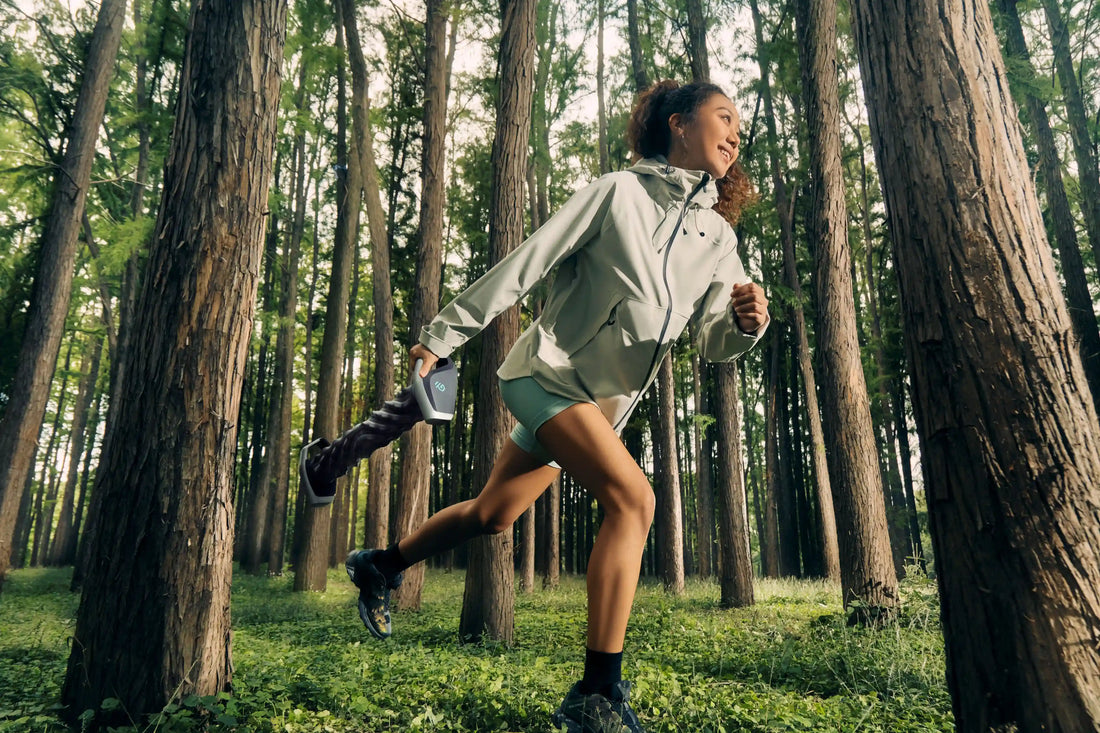 The Origin of RheoFit