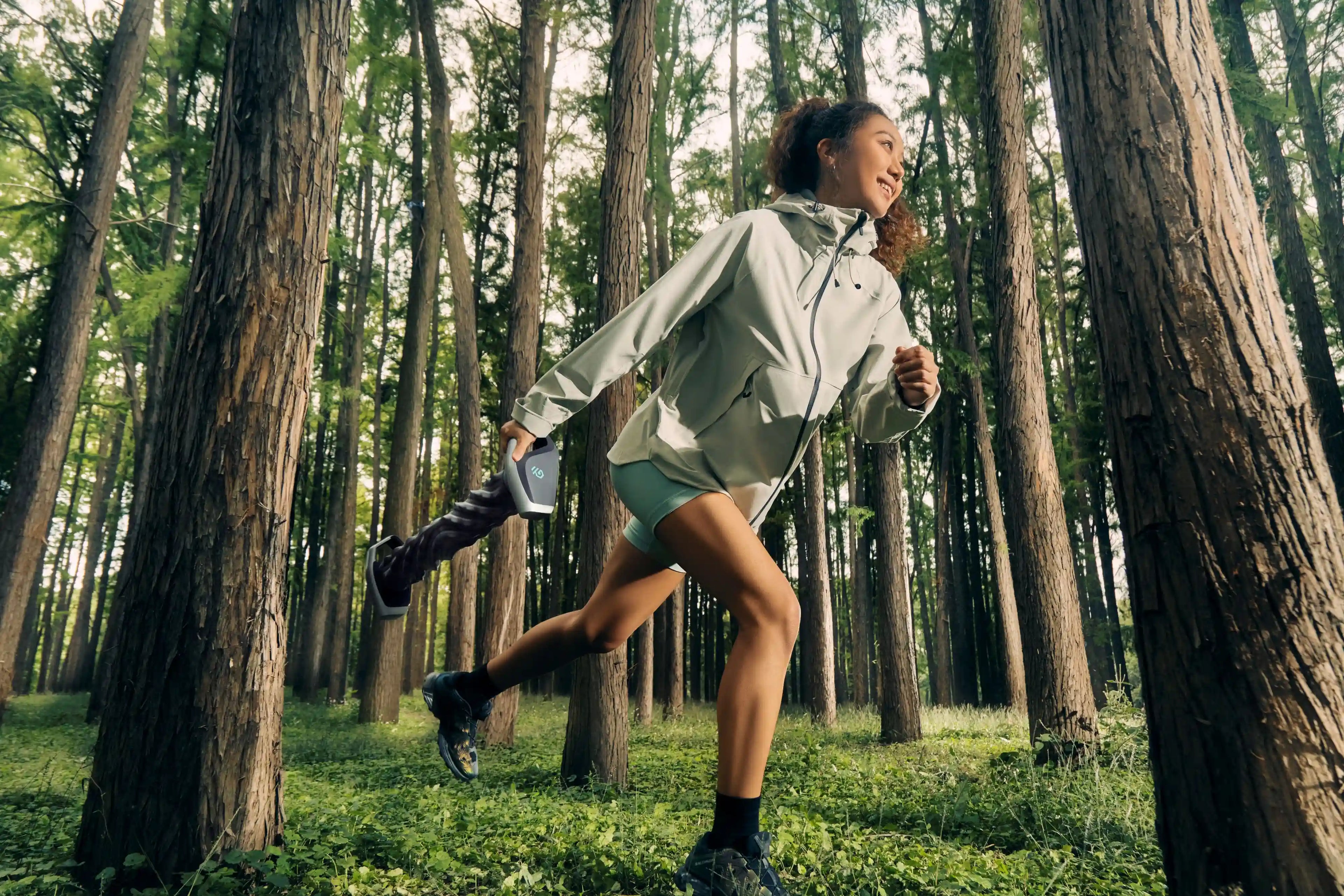 The Origin of RheoFit