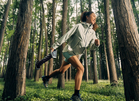 The Origin of RheoFit