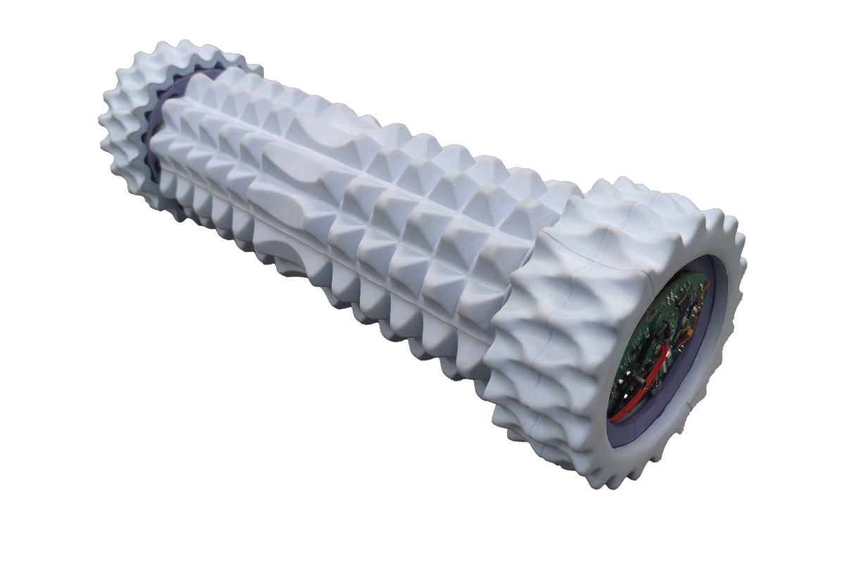 gid://shopify/MediaImage/43965803626778